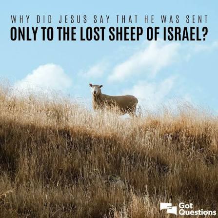 Matthew 15 - Only for the lost sheep of Israel?